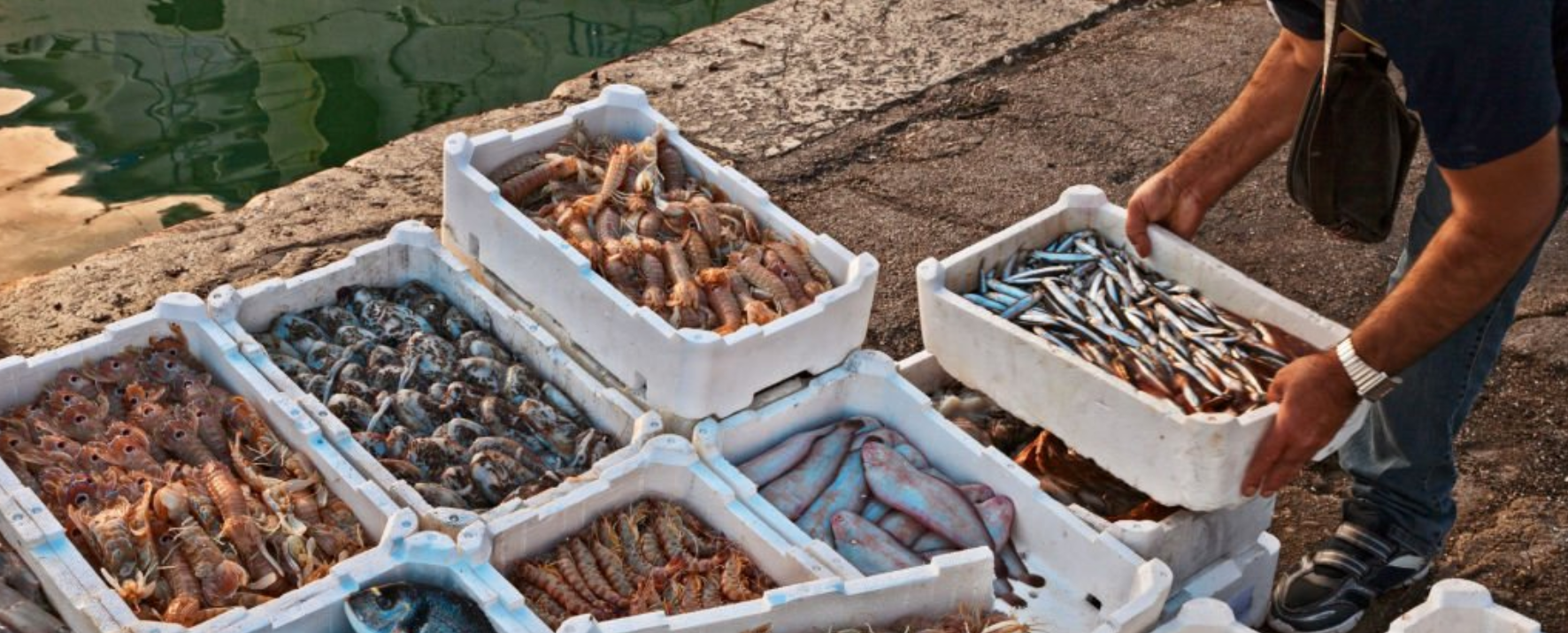 BOTTARGA AND SEA DELICACIES