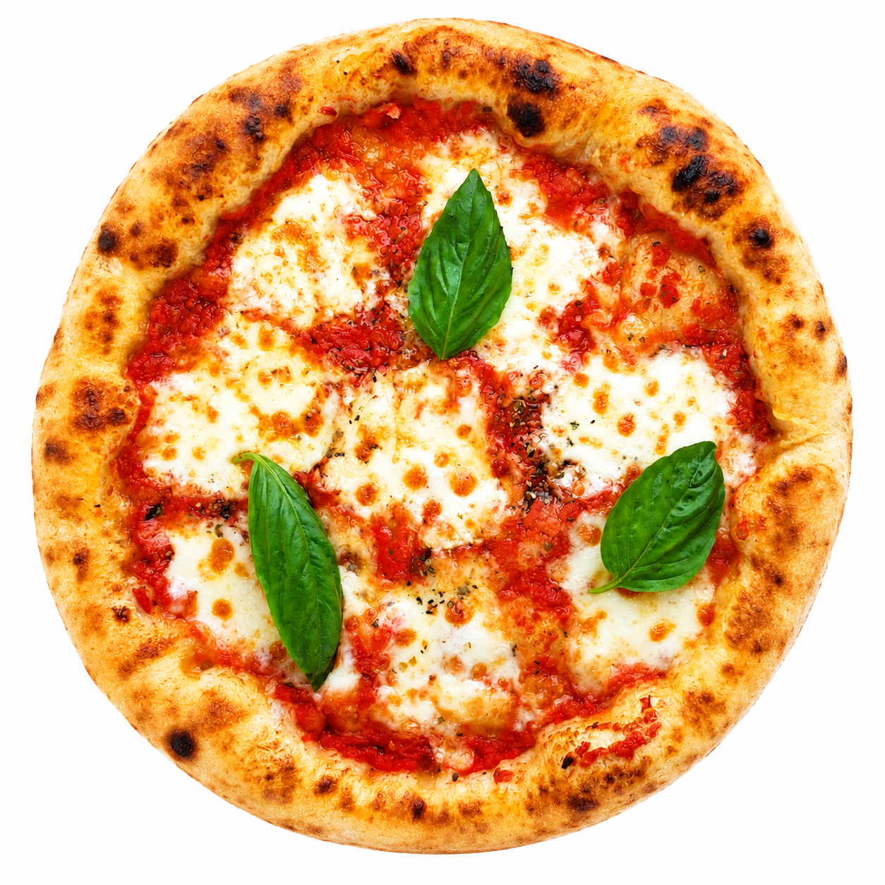 PIZZA MARGHERITA 11'' - set 6 pizzas